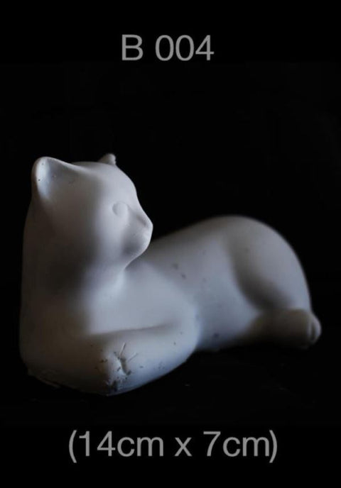 Cat - B004