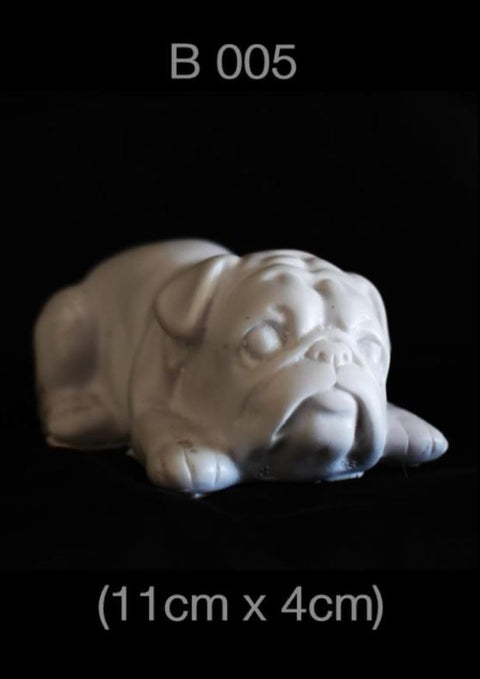 Dog - B005