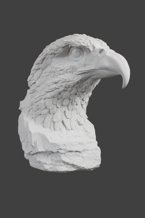 Eagle Bust