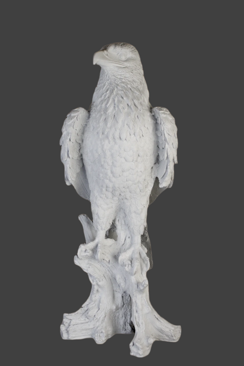 Large Eagle