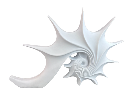 Modern Fossil