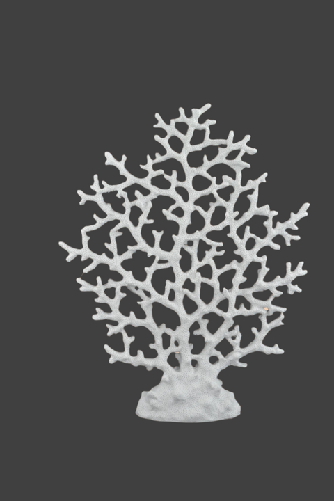 Patterned Coral