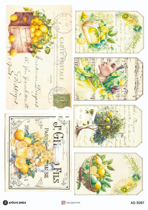 Rice Decoupage Paper - AS-3087