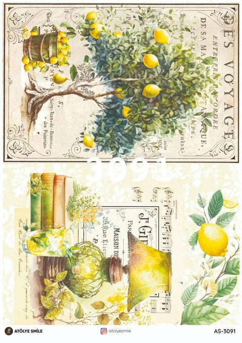 Rice Decoupage Paper - AS-3091