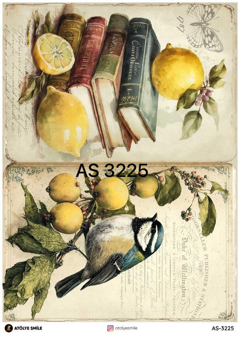Rice Decoupage Paper - AS-3225
