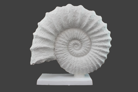 Seashell on Stand