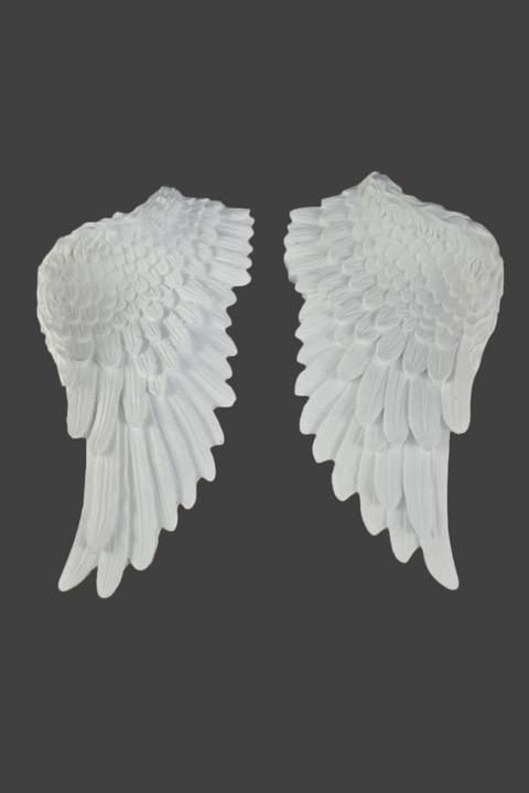 Angel Wings (Set of 2)