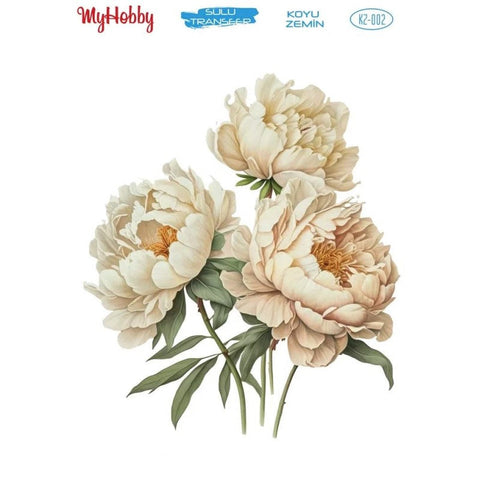 Water Transfer Paper - KZ-002