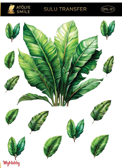 Water Transfer Paper - SML-81